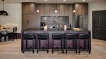 Beaver Creek Chalet Brio